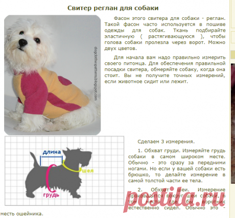 Свитер для собаки своими руками. Бесплатные выкройки