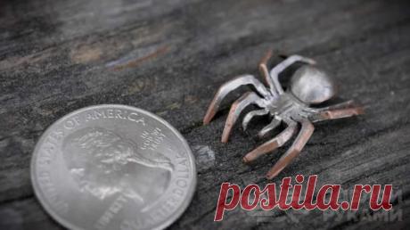 Как сделать паука из обычной монеты В данном обзоре автор покажет небольшой мастер-класс, как из обычной монеты сделать паука. Также можно использовать круглую металлическую пластину