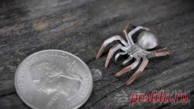 Как сделать паука из обычной монеты В данном обзоре автор покажет небольшой мастер-класс, как из обычной монеты сделать паука. Также можно использовать круглую металлическую пластину