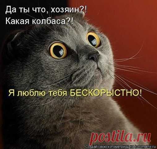 Мой Мир@Mail.Ru