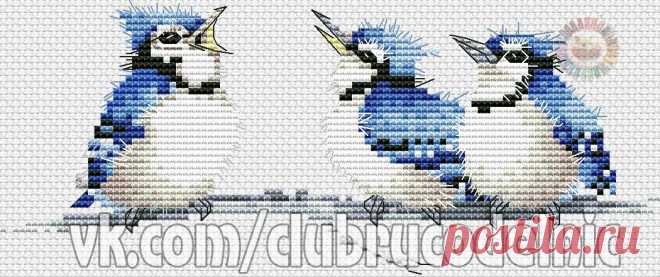 #Птицы
#вышивка #схемы #рукоделие #handmade #хомячки #clubrucodelnic