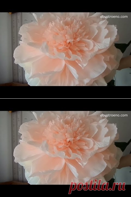 ГИГАНТСКИЕ ростовые цветы. Пион. Часть I / Free Standing Giant Flower | Giant Paper Peony | Part 1 - YouTube