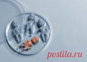 ЭКО - глобальное репродуктивное противоречие - АНБО "СПАСИ ЖИЗНЬ" Для того, чтобы один ребёнок имел небольшой шанс на рождение, забирают до 20 яйцеклеток, оплодотворяют в лаборатории около 10, подсаживают несколько, и часто абортируют более слабых во время уже развивающейся беременности. Любая клиника ЭКО – это реально действующая евгеническая лаборатория, где людей создают, отбирают по качеству и хранят на всякий случай. Вспомогательные репродуктивные технологии (ВРТ) […]