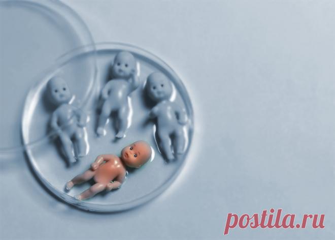 ЭКО - глобальное репродуктивное противоречие - АНБО 