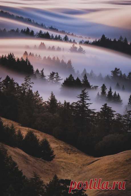 (5) Tumblr