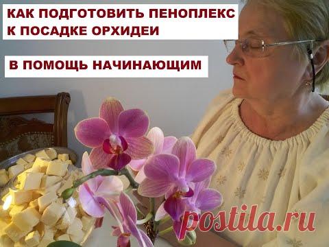 КАК ПОДГОТОВИТЬ ПЕНОПЛЕКС к ПОСАДКЕ ОРХИДЕИ. В ПОМОЩЬ НАЧИНАЮЩИМ и ВСЕМ ОСТАЛЬНЫМ. - YouTube