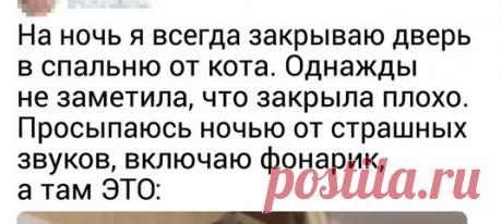 16 ситуаций, которые поймут все владельцы животных