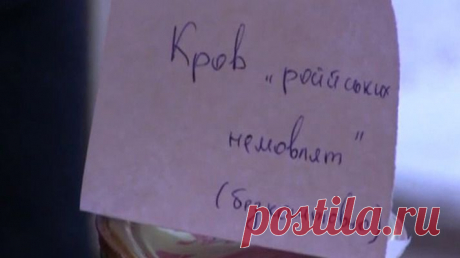 Украинские школьники продавали « российских младенцев», чтобы помочь солдатам | В мире новостей