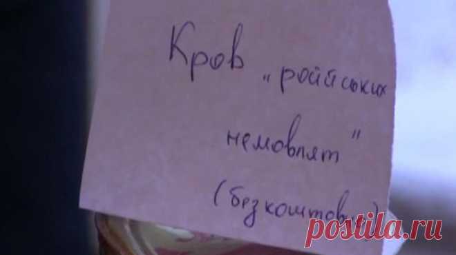 Украинские школьники продавали « российских младенцев», чтобы помочь солдатам | В мире новостей