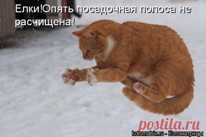 Самозатвердевающая паста.