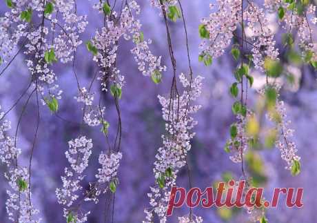 Копилка Впечатлений.
Макс Максимов