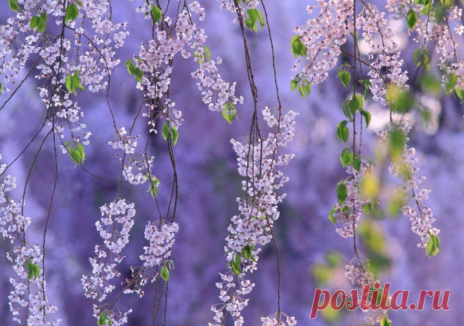 Копилка Впечатлений.
Макс Максимов