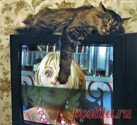 original.jpg (604×551)