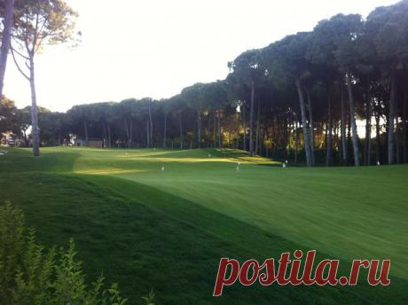 Одноклассники