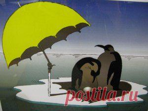 Мифы и правда о вашем желудке