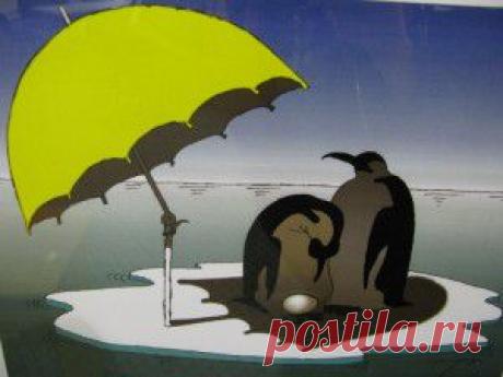 Мифы и правда о вашем желудке