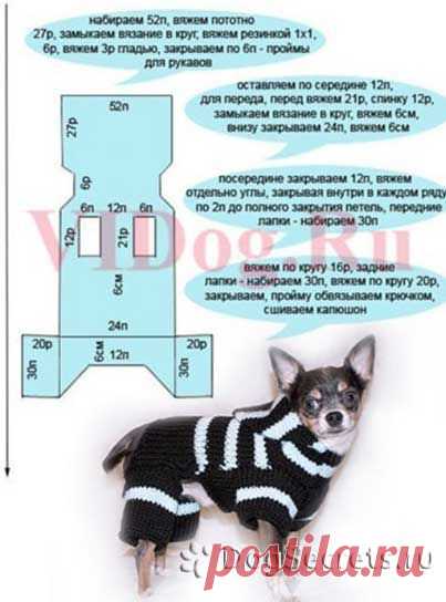 Одежда для той терьера: выкройки