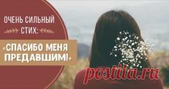 Очень сильный стих: «Спасибо меня предавшим!» Очень сильный стих, есть о чем подумать… Спасибо меня предавшим! Я стала ещё сильней… И слабости не прощавшим – За холод души своей… Спасибо меня толкнувшим! Теперь я летать могу… Судившим и упрекнувшим – Спасибо, и я не лгу… Без ваших уроков горьких, Не знала бы вкус добра… Ах, сколько вас было, сколько… Мне вас …