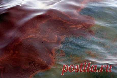 В заливе Азовского моря зафиксировали разлив нефтепродуктов. В порту «Темрюк» на Таманском полуострове в Краснодарском крае нашли следы утечки нефтепродуктов. Разлив топлива произошел в заливе Азовского моря с судна «Леди Лейла», рассказала глава Росприроднадзора Светлана Радионова в Instagram-сторис 28 сентября, пообещав привлечь к ответственности виновных.