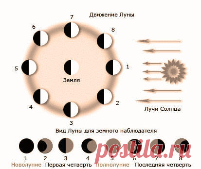 Схема убывающей и растущей луны