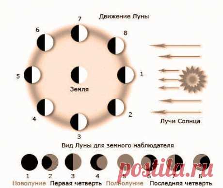 Схема убывающей и растущей луны