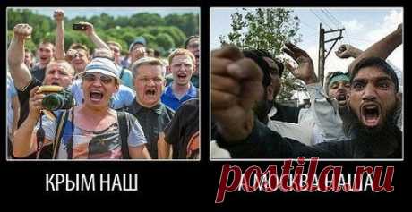 Дмитрий Дёмушкин | ВКонтакте