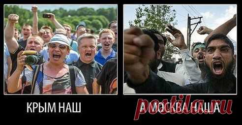 Дмитрий Дёмушкин | ВКонтакте