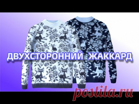 Коты и розы.