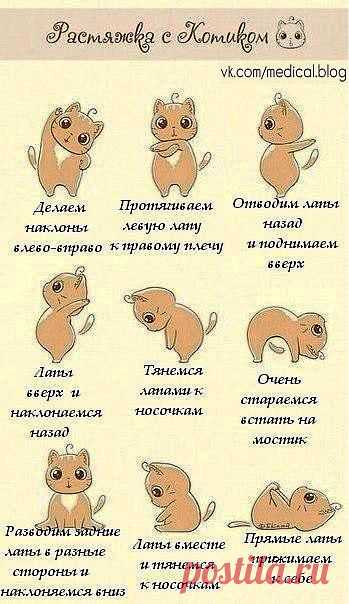 Секреты здоровья