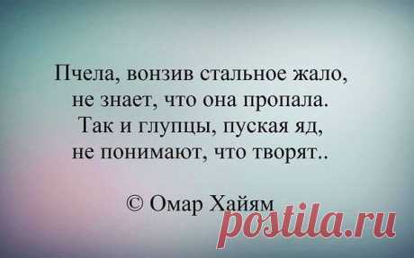 журнал "Цветы" (FLOWERS MAGAZINE) - Хроника