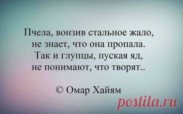 журнал 