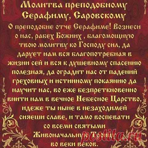 image (480×480)