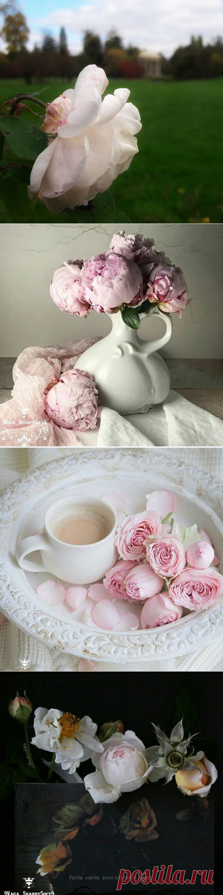 Pakira (@pakiradekor) • Фото и видео в Instagram