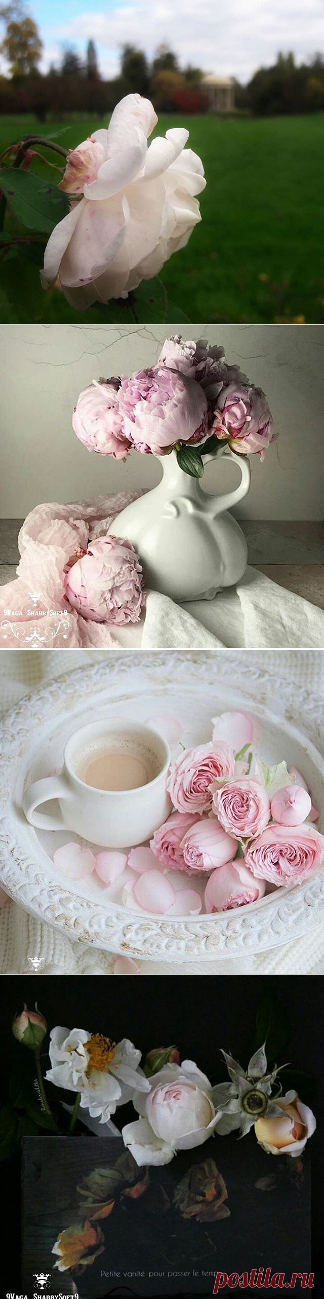 Pakira (@pakiradekor) • Фото и видео в Instagram