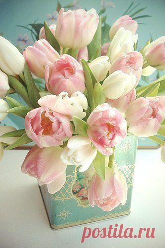 Фотографии на стене сообщества | 32 888 фотографий