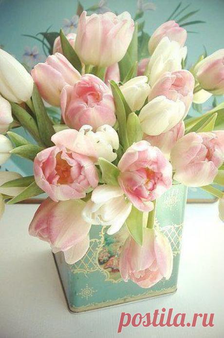 Фотографии на стене сообщества | 32 888 фотографий