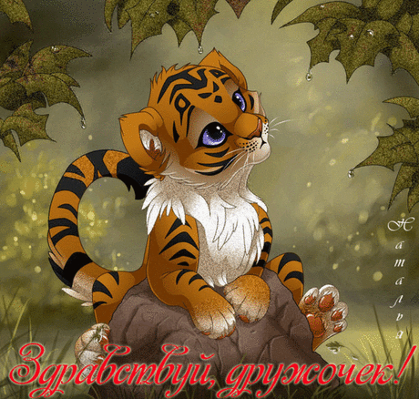 , Привет Анимация с надписями, открытки с html кодами для вставки бесплатно