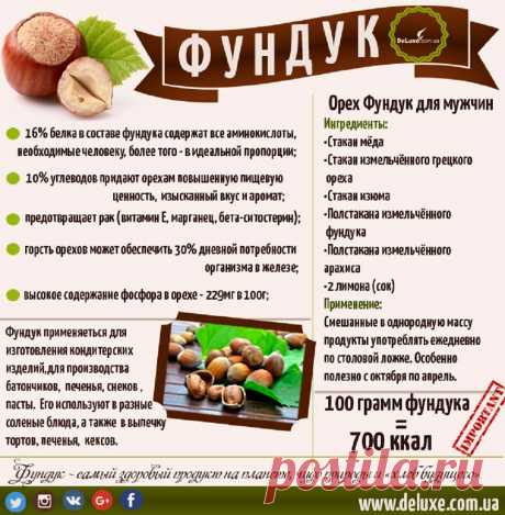 Фундук - полезные свойства. Фундук для мужчин