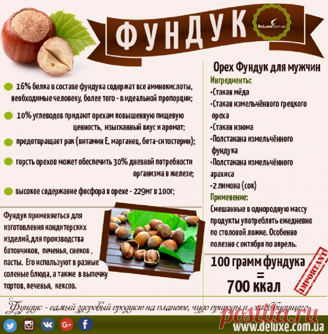 Фундук - полезные свойства. Фундук для мужчин