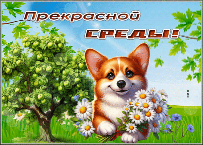 Теплая гиф-открытка, прекрасной среды и море улыбок