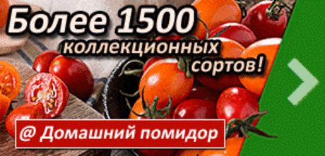 СУПЕР ПОДКОРМКА ДЛЯ ТОМАТОВ  Страница 91 - Сорта томатов - Клуб помидороводов - tomat-pomidor.com СУПЕР ПОДКОРМКА  для томатов