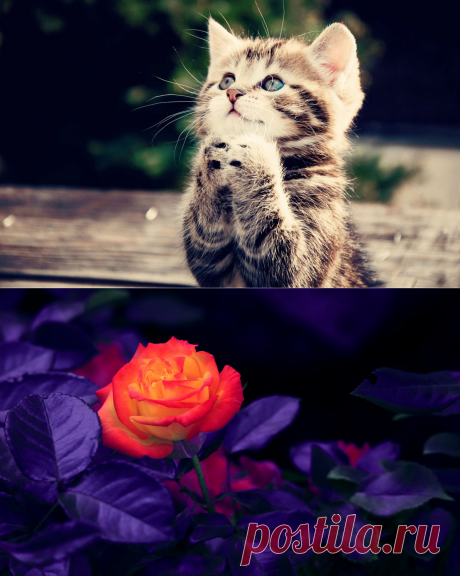 Картинки и фотографии на просторах интернета