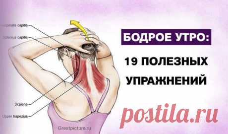 Бодрое утро: 19 полезных упражнений Бодрое утро: 19 полезных упражнений«Как начнете свое утро, таким будет и весь день». С этим мудрым изречением никто не поспорит. Но для того