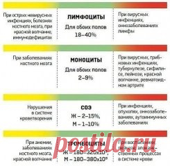 О чем расскажет анализ крови
