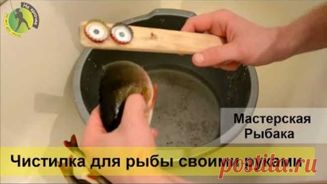 Как и чем быстро чистить окуня и другую рыбу от чешуи – простая чистилка своими руками