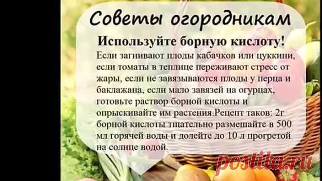 Одноклассники