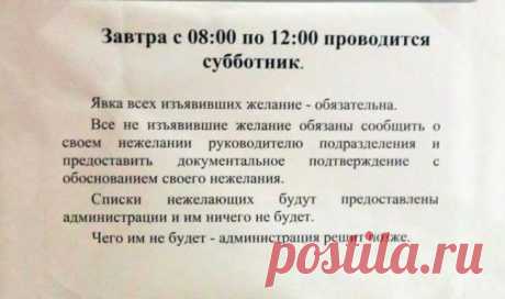 15 жизненных объявлений