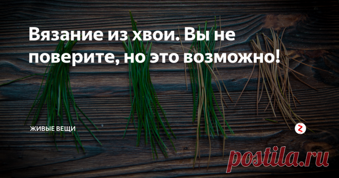 Вязание из хвои. Вы не поверите, но это возможно! Как же давно я хотела попробовать сделать что-то из хвои, Вы не представляете...