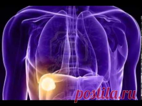 Программа нормализации работы печени изохрон