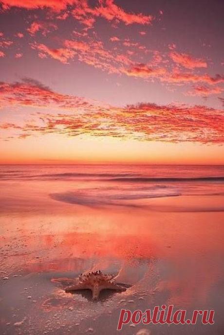 Западная Астралия